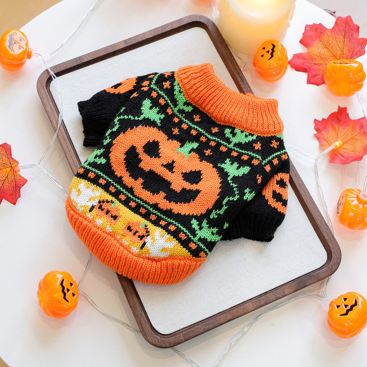 Small white dog wearing the pumpkin Halloween knit sweater