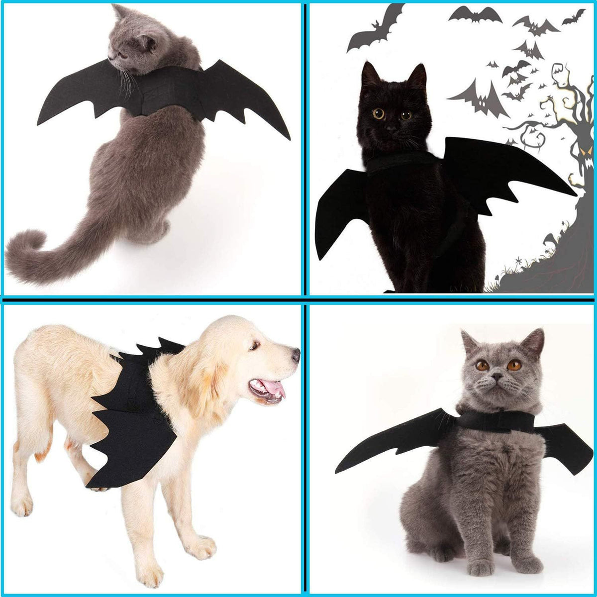 Bat Wing Pet Costume - additional product photo