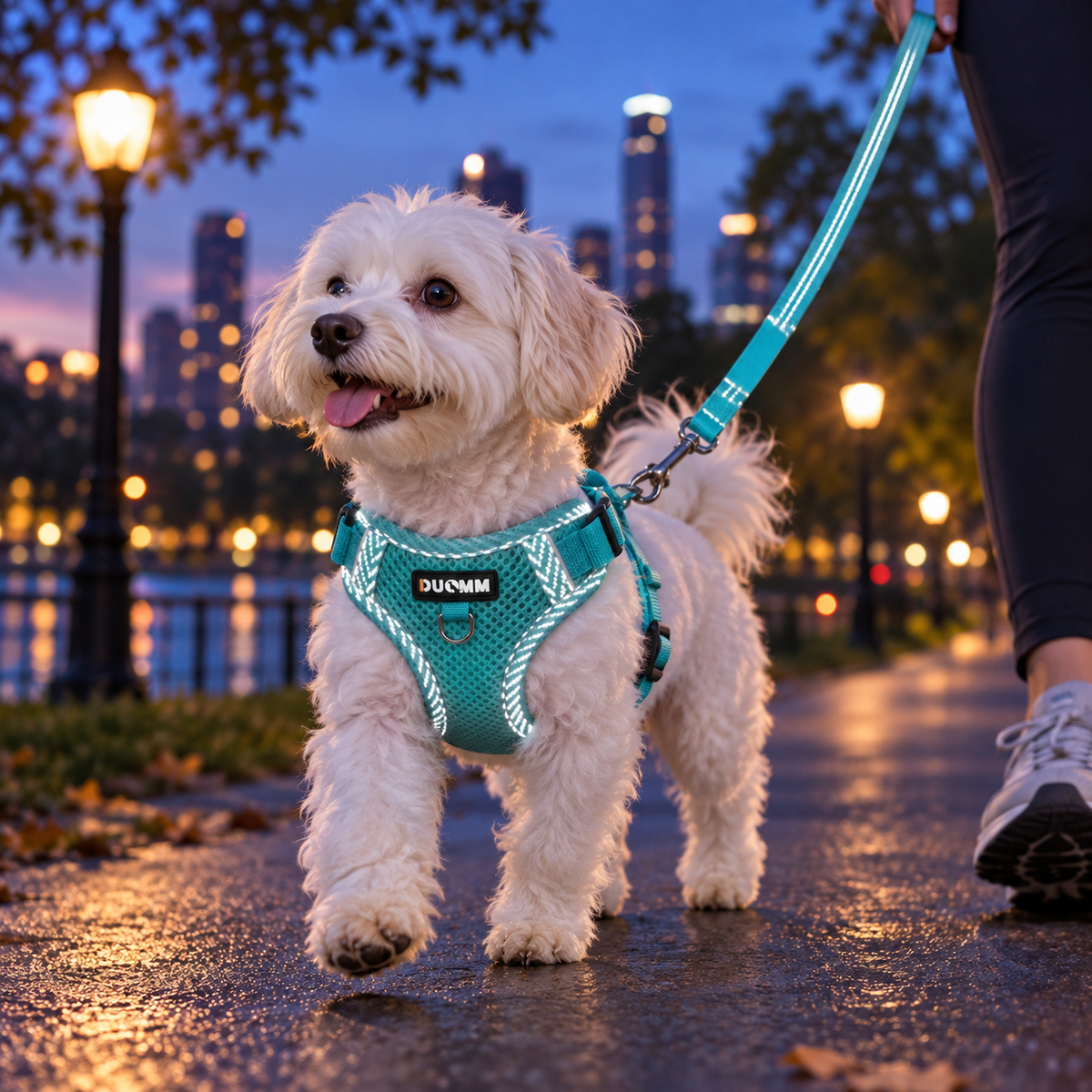 Reflective Mesh Pet Harness Set - blue lifestyle photo